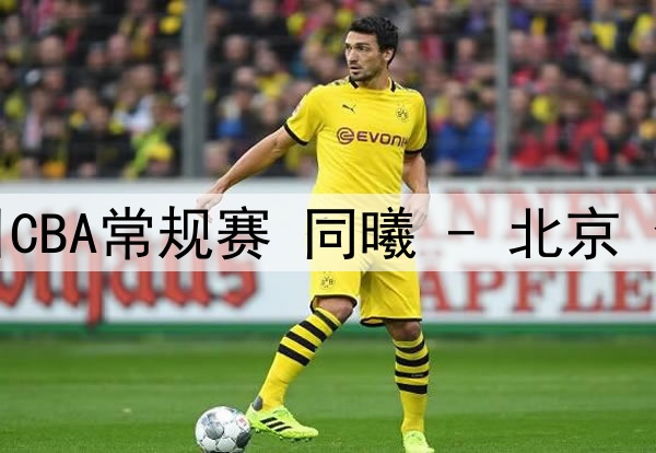 02月04日 亚冠精英联赛西亚区 利雅得胜利vs迪拜祈祷 全场录像